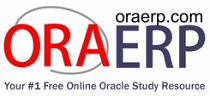 ORAERP.COM - The Knowledge Center for Oracle ERP Professionals - Looking Beyond the Possibilities